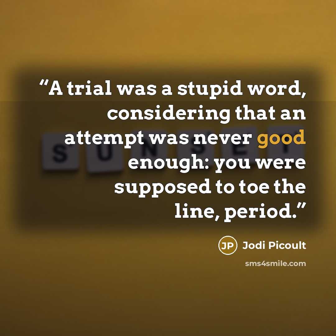 “A trial was a stupid word, considering that an attempt was never good enough: you were supposed to toe the line, period.” quote by Jodi Picoult