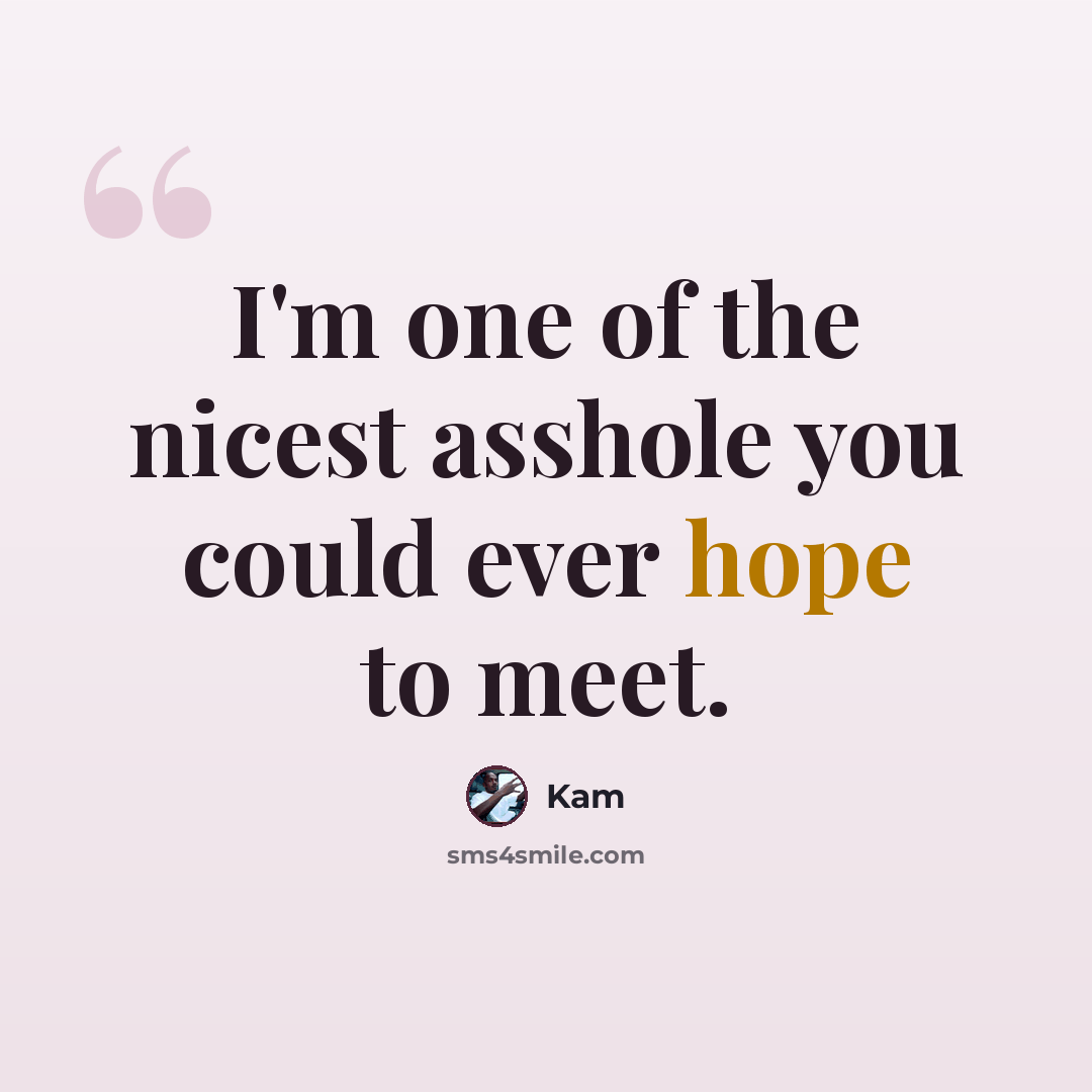 “I'm one of the nicest asshole you could ever hope to meet.” quote by Kam