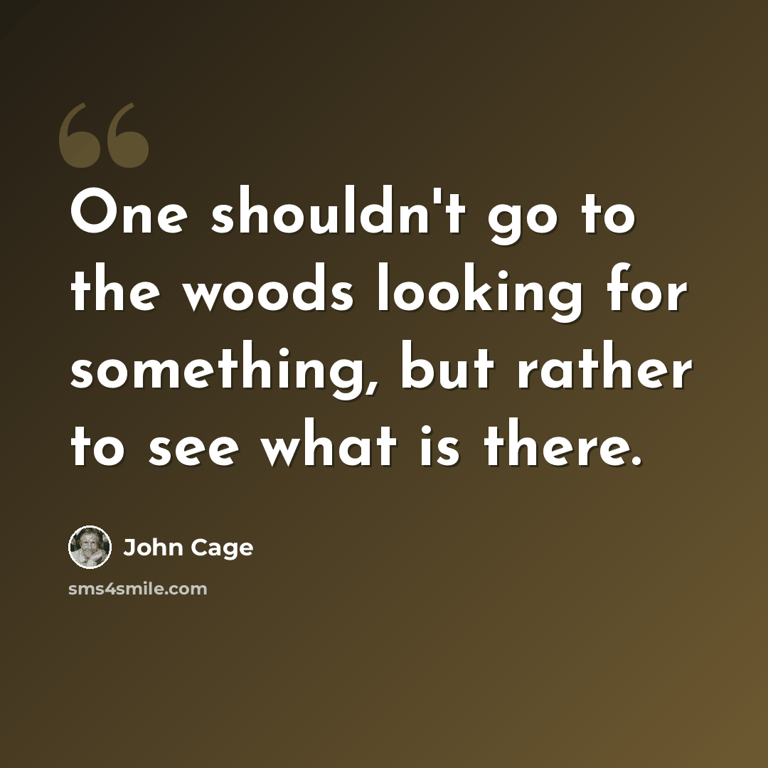 “One shouldn't go to the woods looking for something, but rather to see what is there.” quote by John Cage