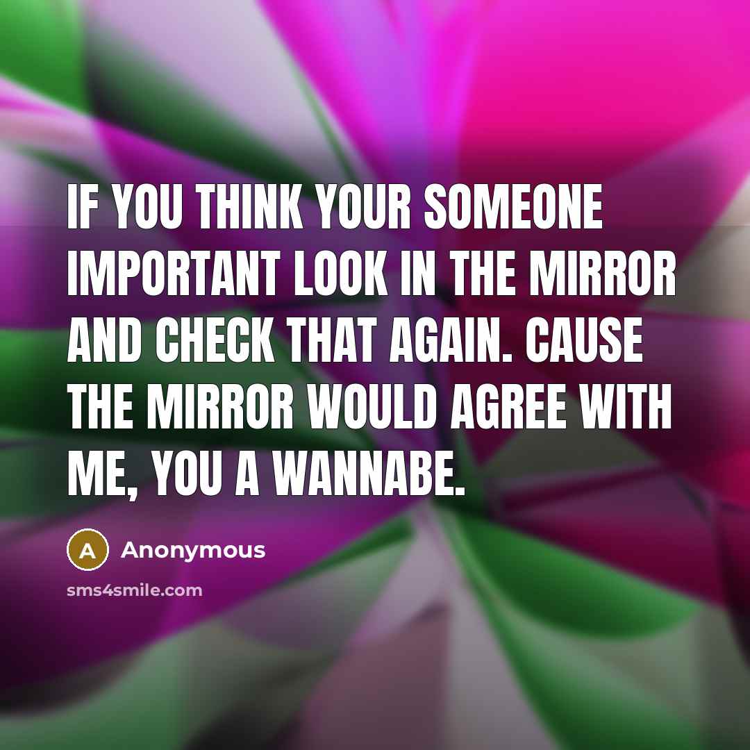 “If you think your someone important look in the mirror and check that again. Cause the mirror would agree with me, you a wannabe.” quote by Anonymous