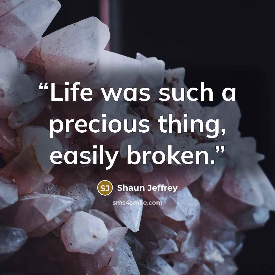 “Life was such a precious thing, easily broken.” quote by Shaun Jeffrey