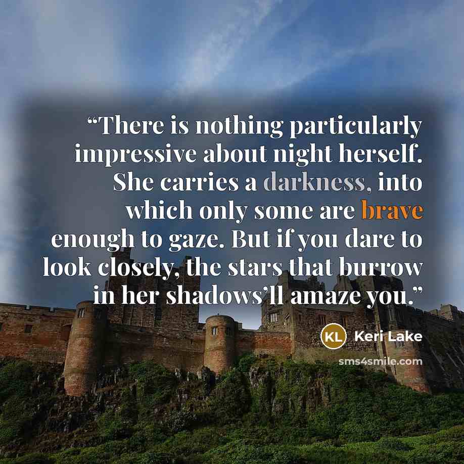 “There is nothing particularly impressive about night herself. She carries a darkness, into which only some are brave enough to gaze. But if you dare to look closely, the stars that burrow in her shadows’ll amaze you.” quote by Keri Lake
