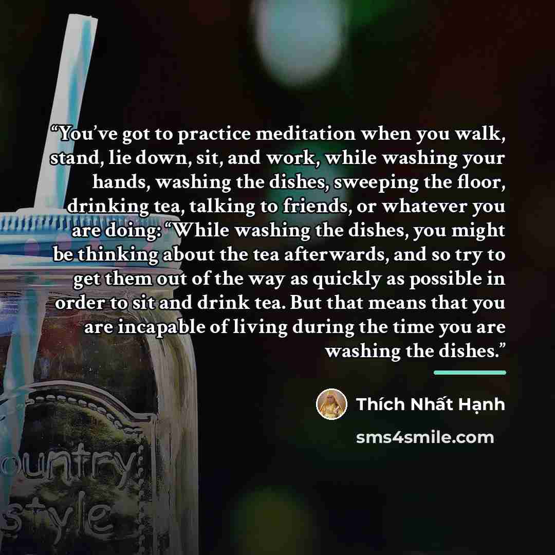“You’ve got to practice meditation when you walk, stand, lie down, sit, and work, while washing your hands, washing the dishes, sweeping the floor, drinking tea, talking to friends, or whatever you are doing: “While washing the dishes, you might be thinking about the tea afterwards, and so try to…” quote by Thich Nhat Hanh