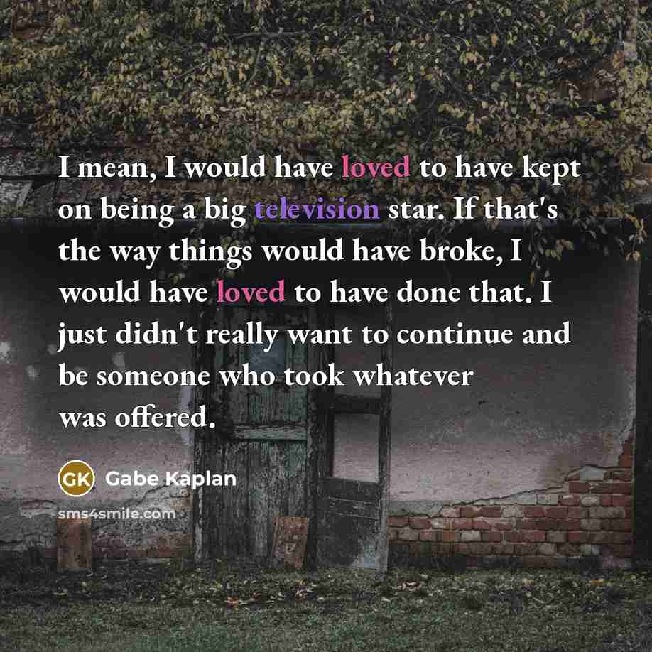 “I mean, I would have loved to have kept on being a big television star. If that's the way things would have broke, I would have loved to have done that. I just didn't really want to continue and be someone who took whatever was offered.” quote by Gabe Kaplan