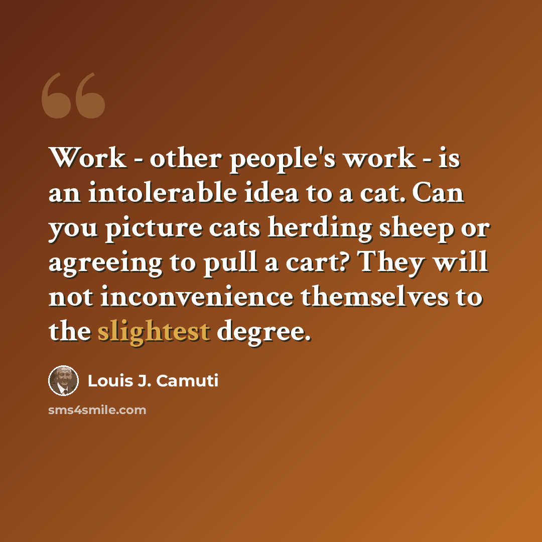 “Work - other people's work - is an intolerable idea to a cat. Can you picture cats herding sheep or agreeing to pull a cart? They will not inconvenience themselves to the slightest degree.” quote by Louis J. Camuti