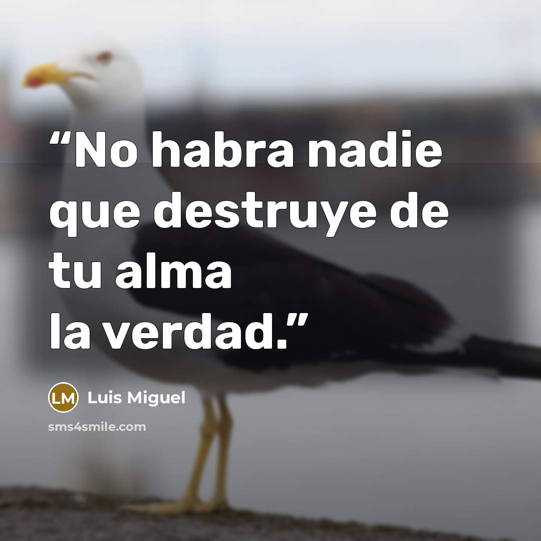 “No habra nadie que destruye de tu alma la verdad.” quote by Luis Miguel