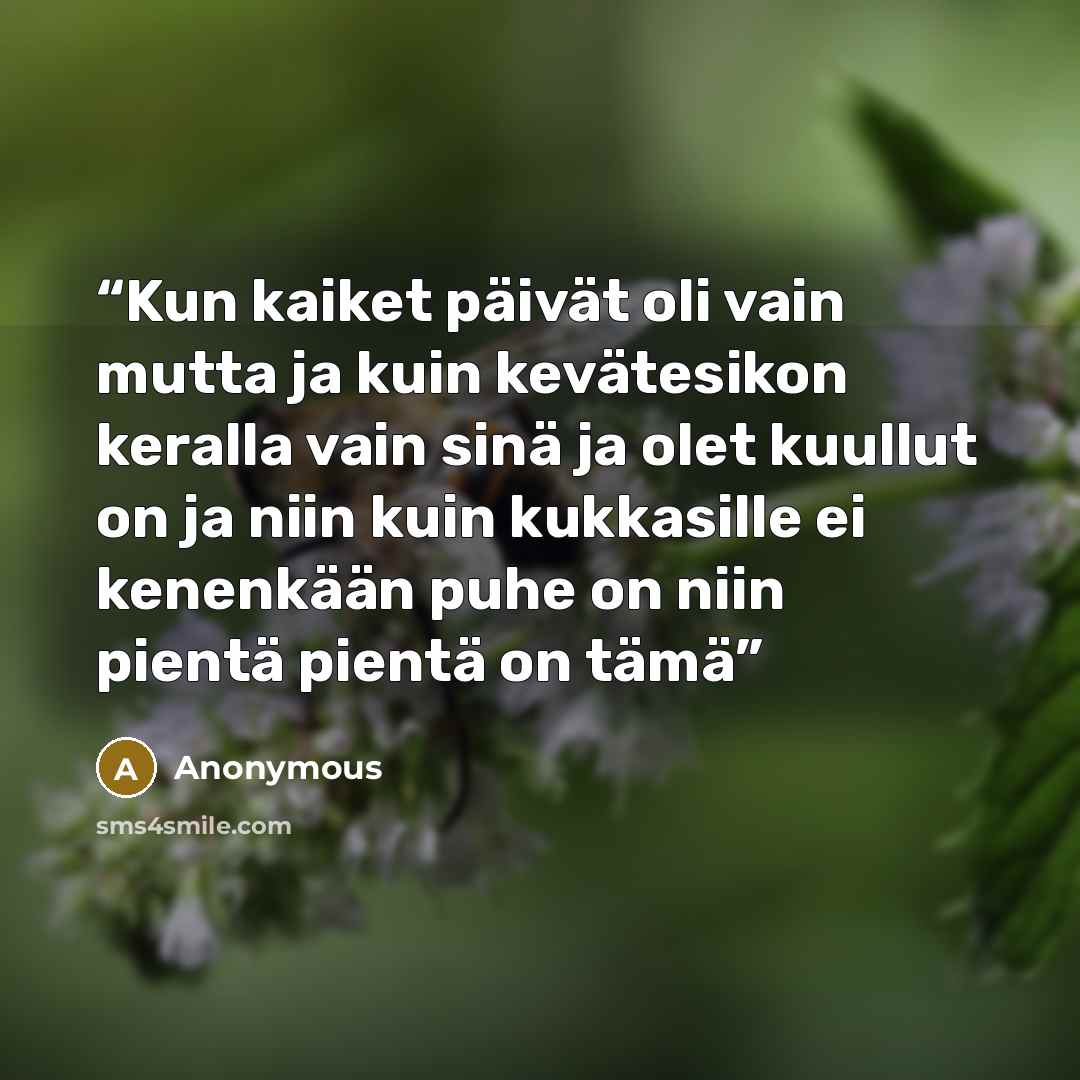 “Kun kaiket päivät oli vain mutta ja kuin kevätesikon keralla vain sinä ja olet kuullut on ja niin kuin kukkasille ei kenenkään puhe on niin pientä pientä on tämä” quote by Anonymous