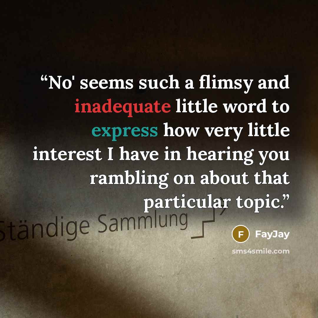 “No' seems such a flimsy and inadequate little word to express how very little interest I have in hearing you rambling on about that particular topic.” quote by FayJay