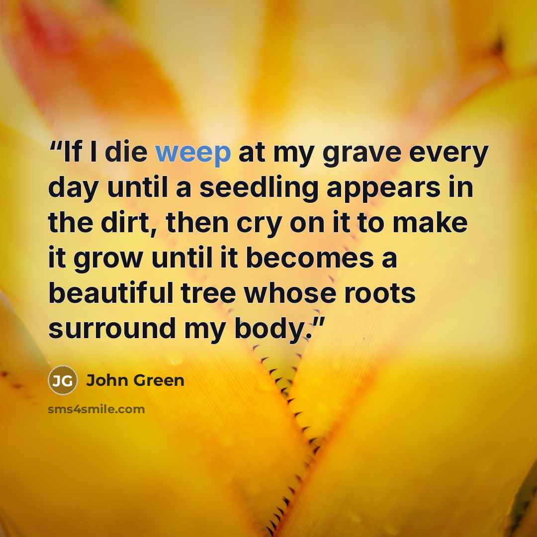“If I die weep at my grave every day until a seedling appears in the dirt, then cry on it to make it grow until it becomes a beautiful tree whose roots surround my body.” quote by John Green