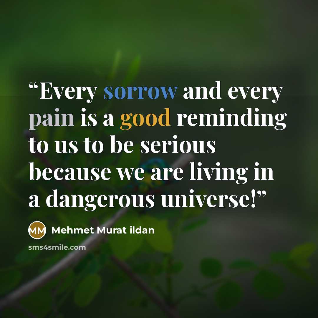 “Every sorrow and every pain is a good reminding to us to be serious because we are living in a dangerous universe!” quote by Mehmet Murat ildan