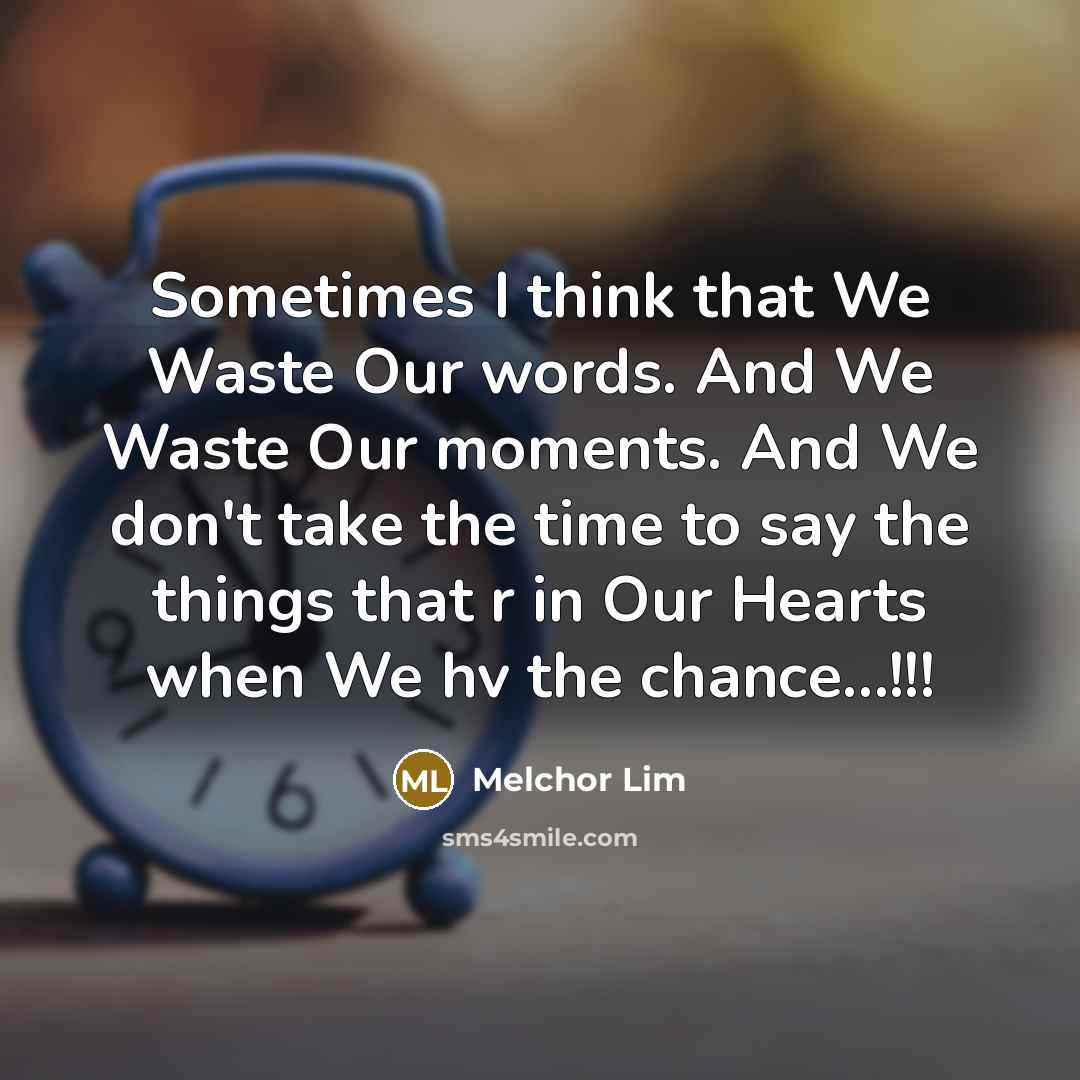 “Sometimes I think that We Waste Our words. And We Waste Our moments. And We don't take the time to say the things that r in Our Hearts when We hv the chance…!!!” quote by Melchor Lim