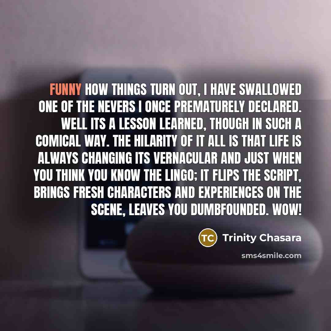 “Funny how things turn out, I have swallowed one of the nevers I once prematurely declared. Well its a lesson learned, though in such a comical way. The hilarity of it all is that life is always changing its vernacular and just when you think you know the lingo; it flips the script, brings fresh…” quote by Trinity Chasara