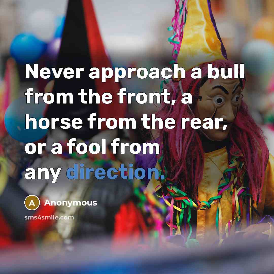 “Never approach a bull from the front, a horse from the rear, or a fool from any direction.” quote by Anonymous