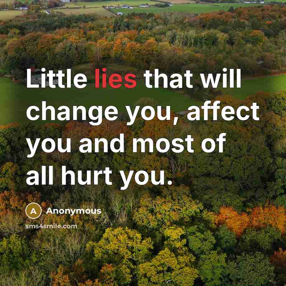 “Little lies that will change you, affect you and most of all hurt you.” quote by Anonymous