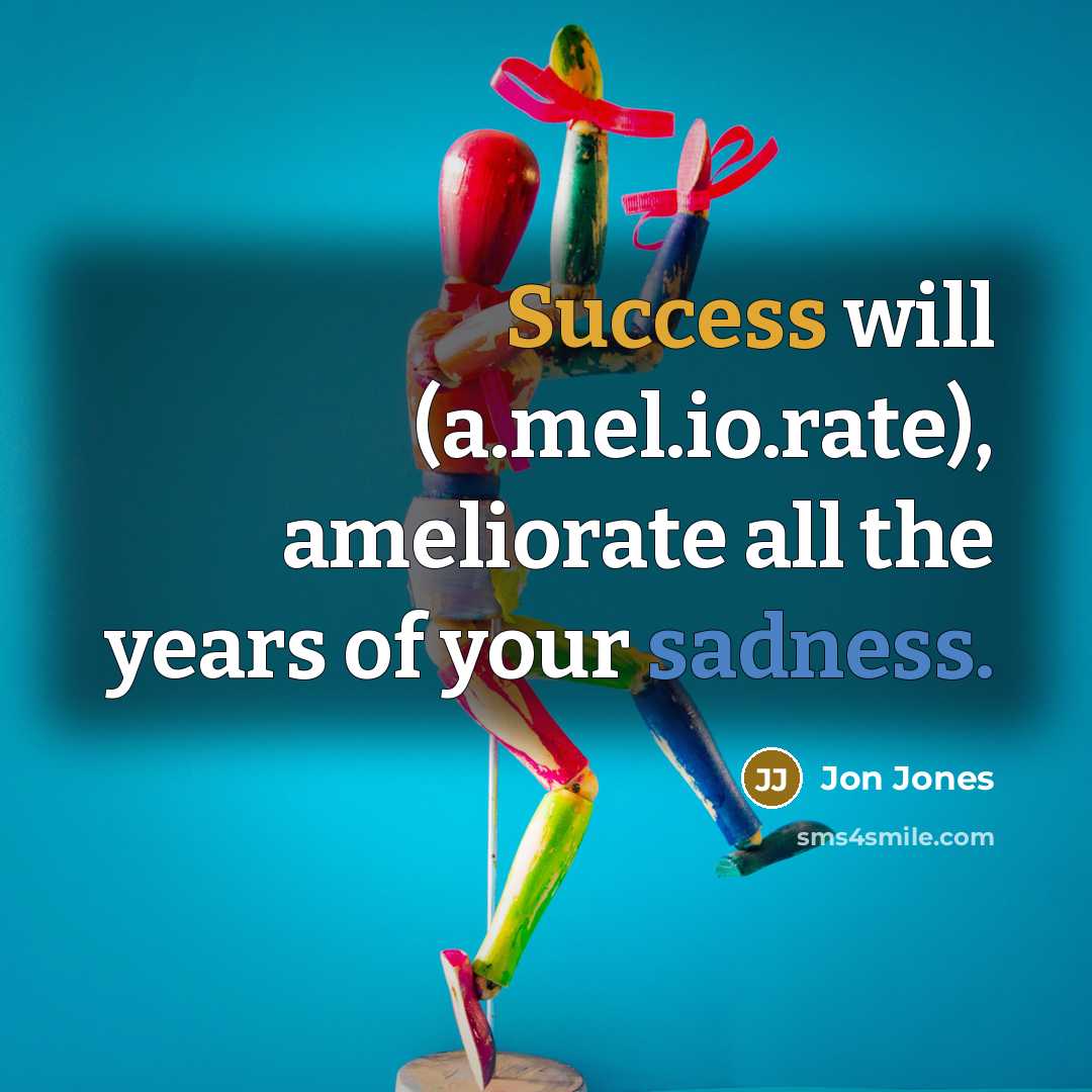 “Success will (a.mel.io.rate), ameliorate all the years of your sadness.” quote by Jon Jones