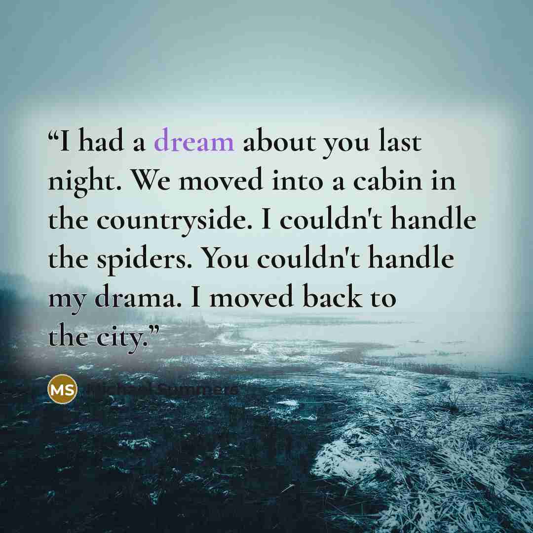 “I had a dream about you last night. We moved into a cabin in the countryside. I couldn't handle the spiders. You couldn't handle my drama. I moved back to the city.” quote by Michael Summers