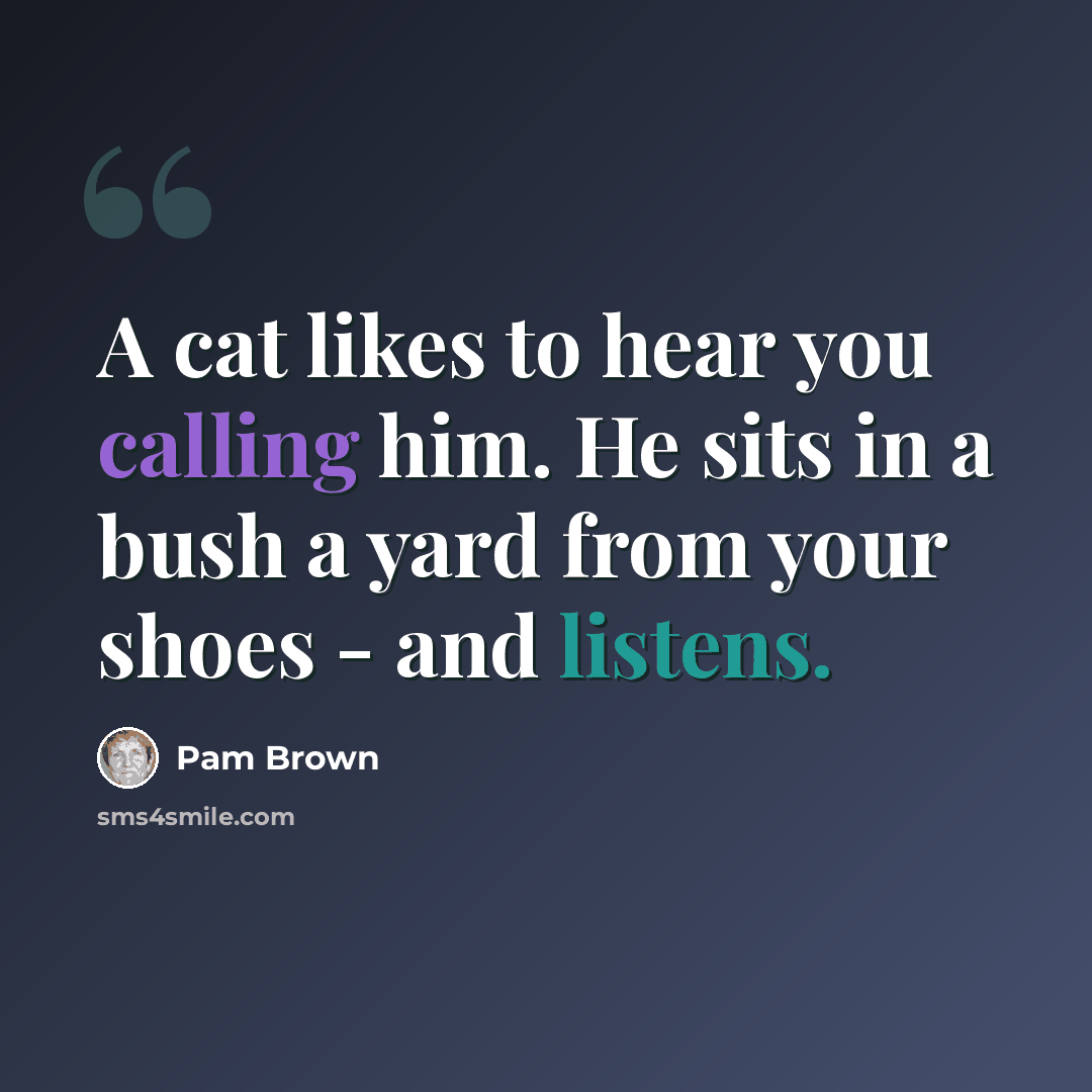 “A cat likes to hear you calling him. He sits in a bush a yard from your shoes - and listens.” quote by Pam Brown