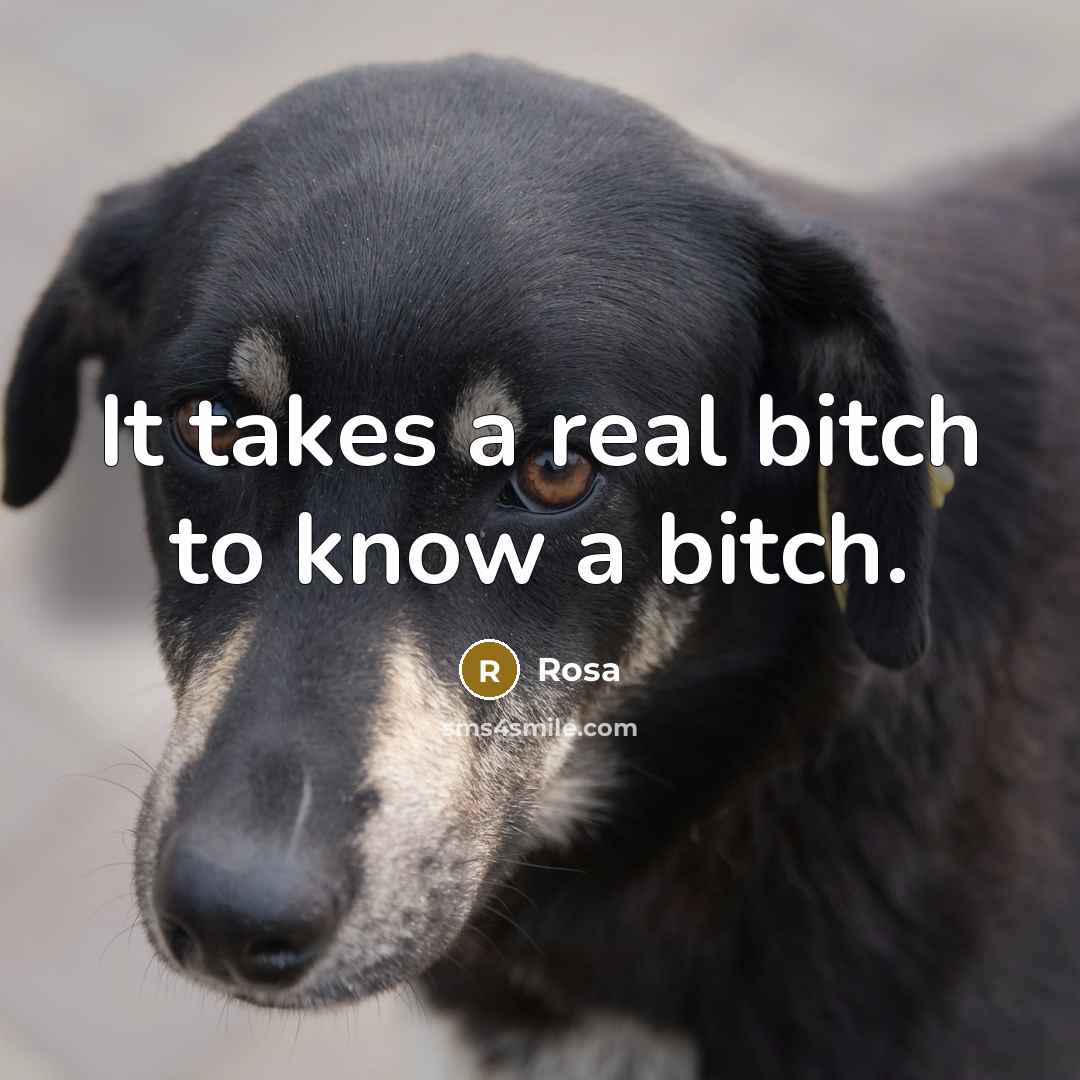 “It takes a real bitch to know a bitch.” quote by Rosa