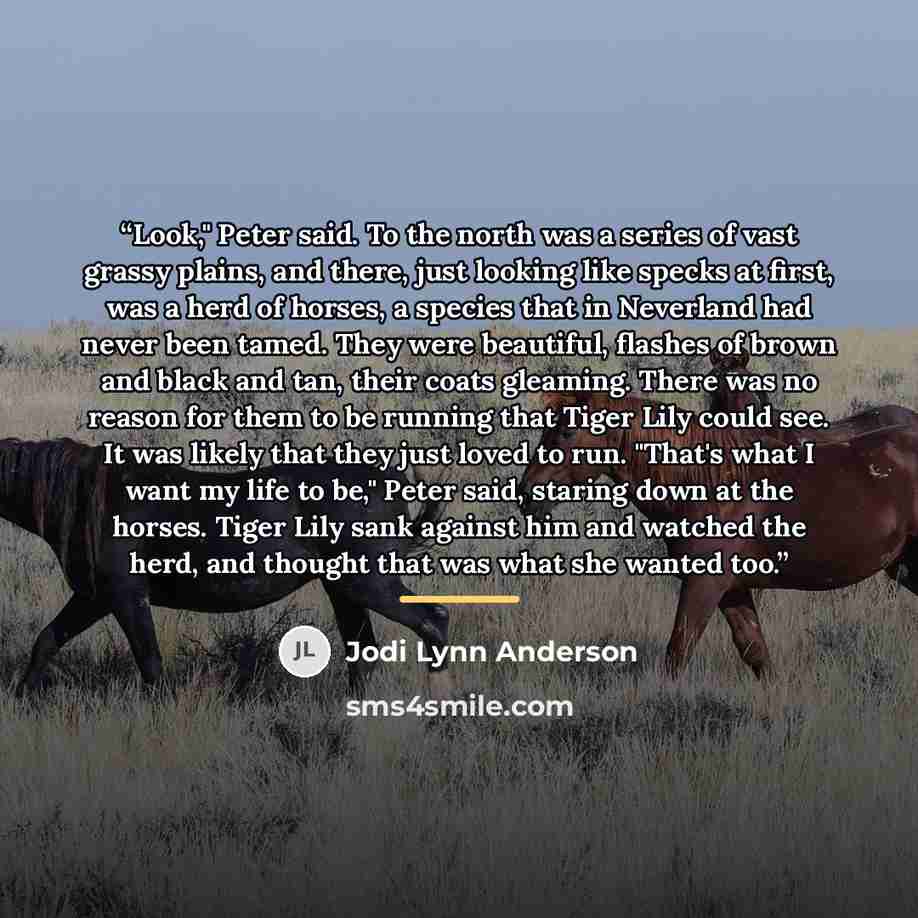 “Look," Peter said. To the north was a series of vast grassy plains, and there, just looking like specks at first, was a herd of horses, a species that in Neverland had never been tamed. They were beautiful, flashes of brown and black and tan, their coats gleaming. There was no reason for them to…” quote by Jodi Lynn Anderson
