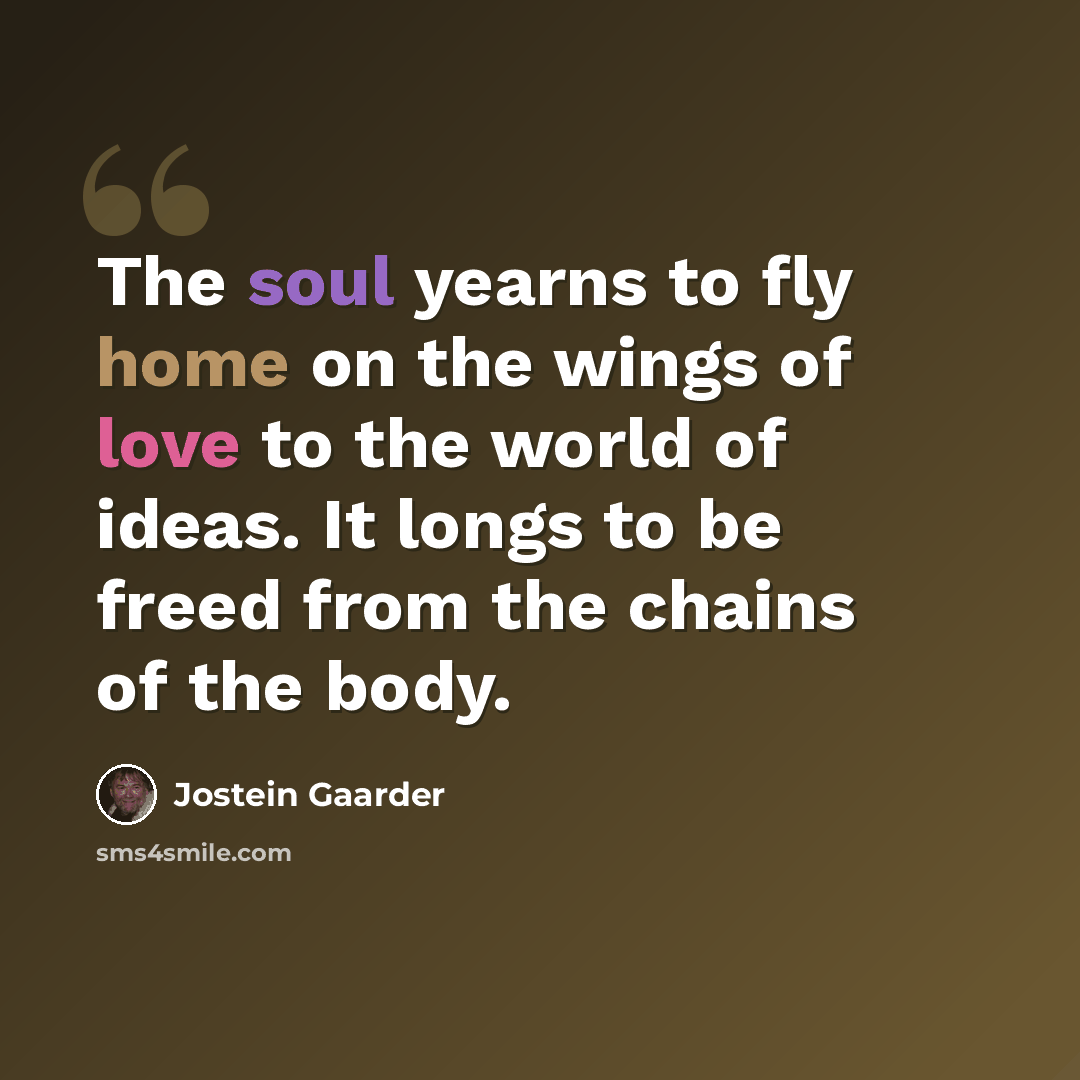 “The soul yearns to fly home on the wings of love to the world of ideas. It longs to be freed from the chains of the body.” quote by Jostein Gaarder