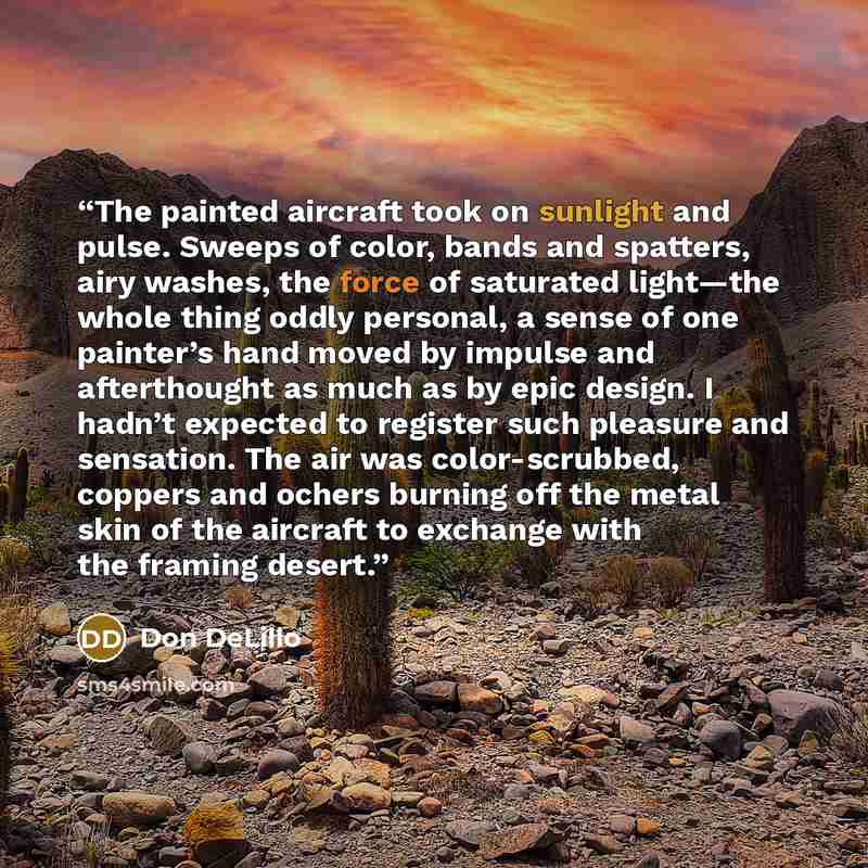 “The painted aircraft took on sunlight and pulse. Sweeps of color, bands and spatters, airy washes, the force of saturated light—the whole thing oddly personal, a sense of one painter’s hand moved by impulse and afterthought as much as by epic design. I hadn’t expected to register such pleasure and…” quote by Don DeLillo