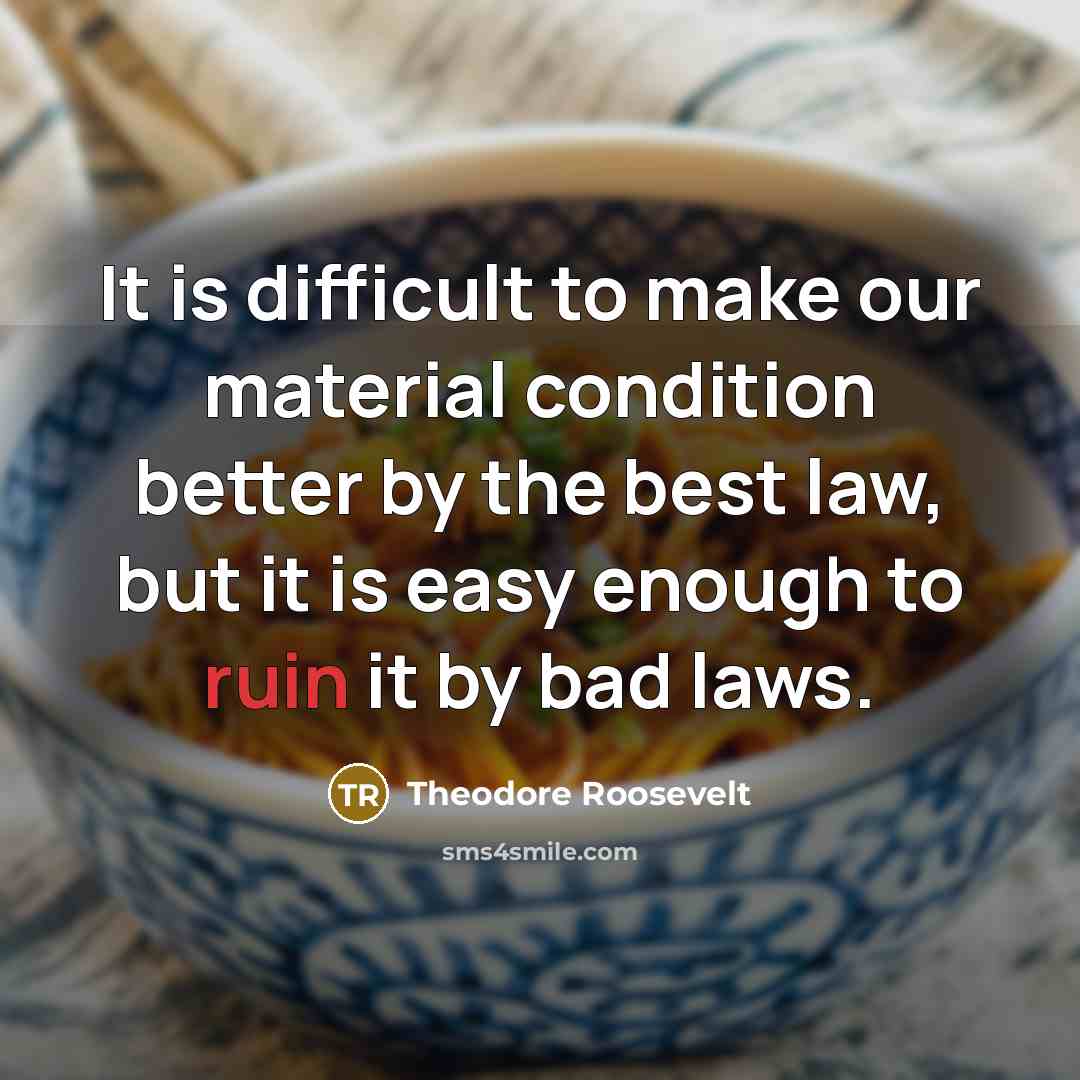 “It is difficult to make our material condition better by the best law, but it is easy enough to ruin it by bad laws.” quote by Theodore Roosevelt
