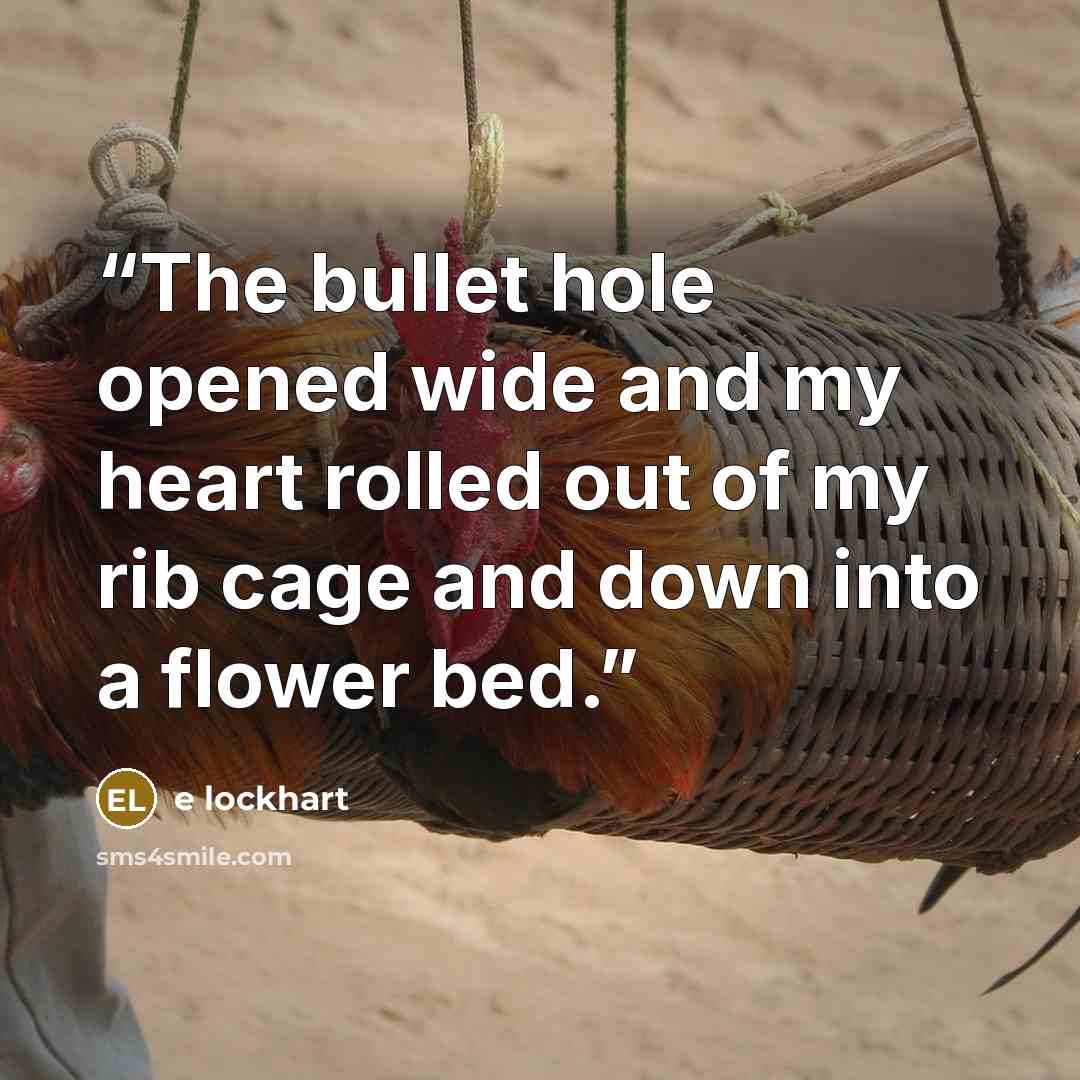 “The bullet hole opened wide and my heart rolled out of my rib cage and down into a flower bed.” quote by e lockhart