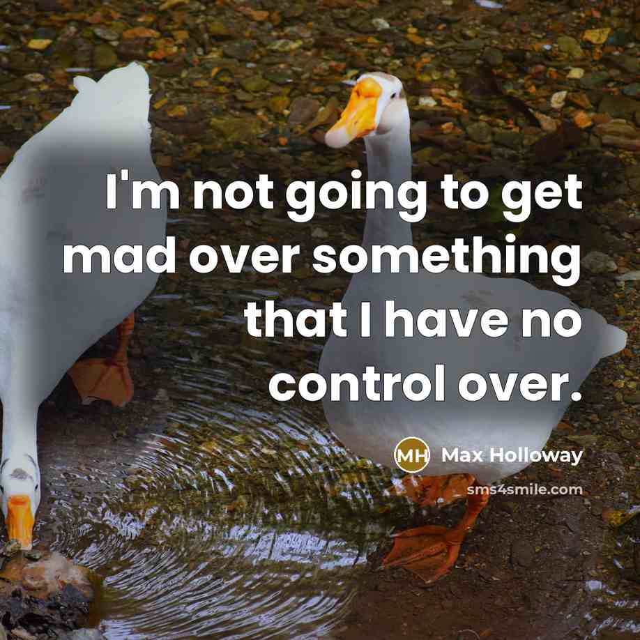 “I'm not going to get mad over something that I have no control over.” quote by Max Holloway