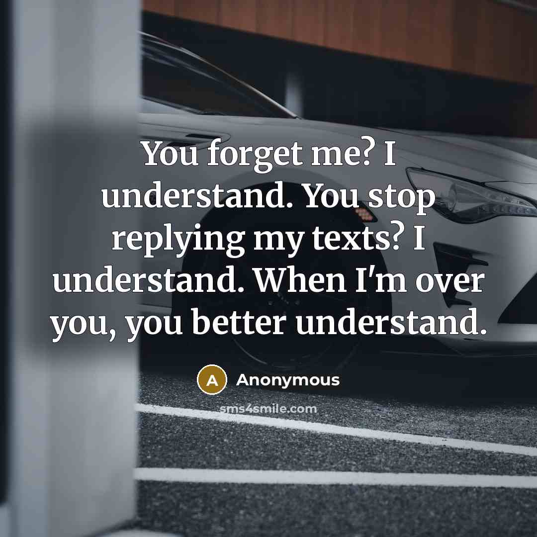 “You forget me? I understand. You stop replying my texts? I understand. When I'm over you, you better understand.” quote by Anonymous