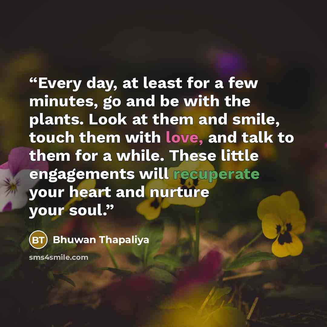 “Every day, at least for a few minutes, go and be with the plants. Look at them and smile, touch them with love, and talk to them for a while. These little engagements will recuperate your heart and nurture your soul.” quote by Bhuwan Thapaliya