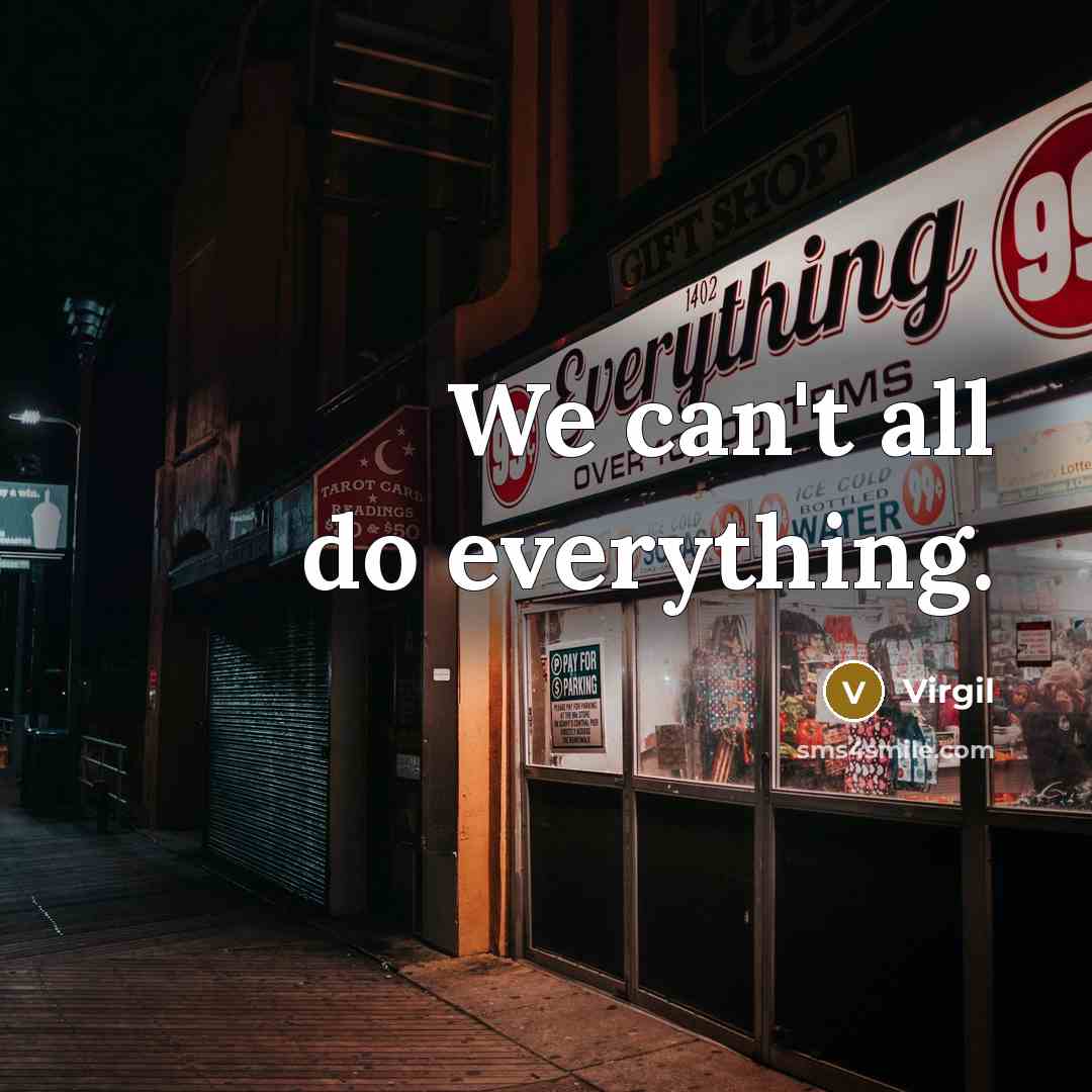 “We can't all do everything.” quote by Virgil