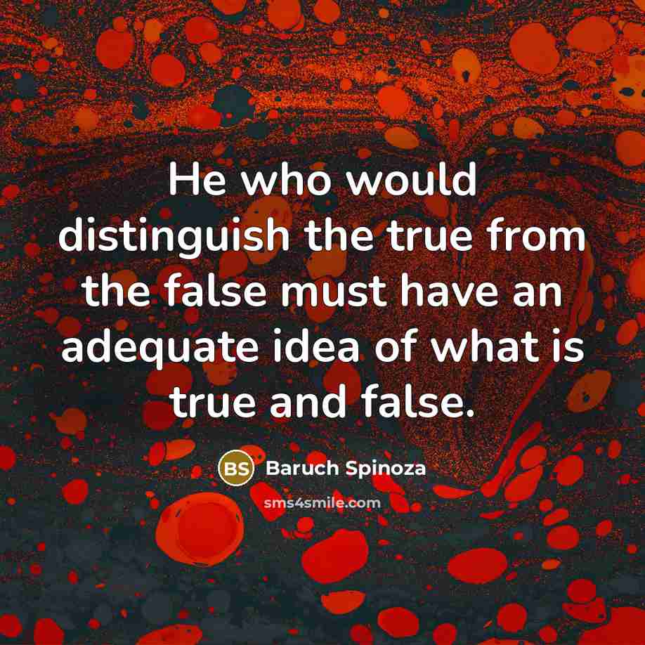 “He who would distinguish the true from the false must have an adequate idea of what is true and false.” quote by Baruch Spinoza