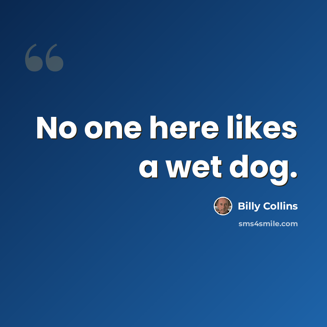 “No one here likes a wet dog.” quote by Billy Collins