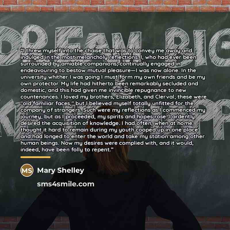 “I threw myself into the chaise that was to convey me away and indulged in the most melancholy reflections. I, who had ever been surrounded by amiable companions, continually engaged in endeavouring to bestow mutual pleasure—I was now alone. In the university whither I was going I must form my own…” quote by Mary Shelley