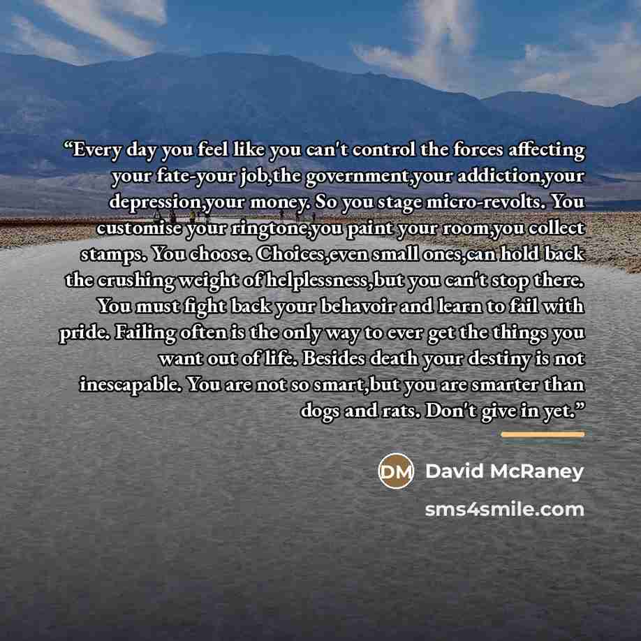 “Every day you feel like you can't control the forces affecting your fate-your job,the government,your addiction,your depression,your money. So you stage micro-revolts. You customise your ringtone,you paint your room,you collect stamps. You choose. Choices,even small ones,can hold back the crushing…” quote by David McRaney