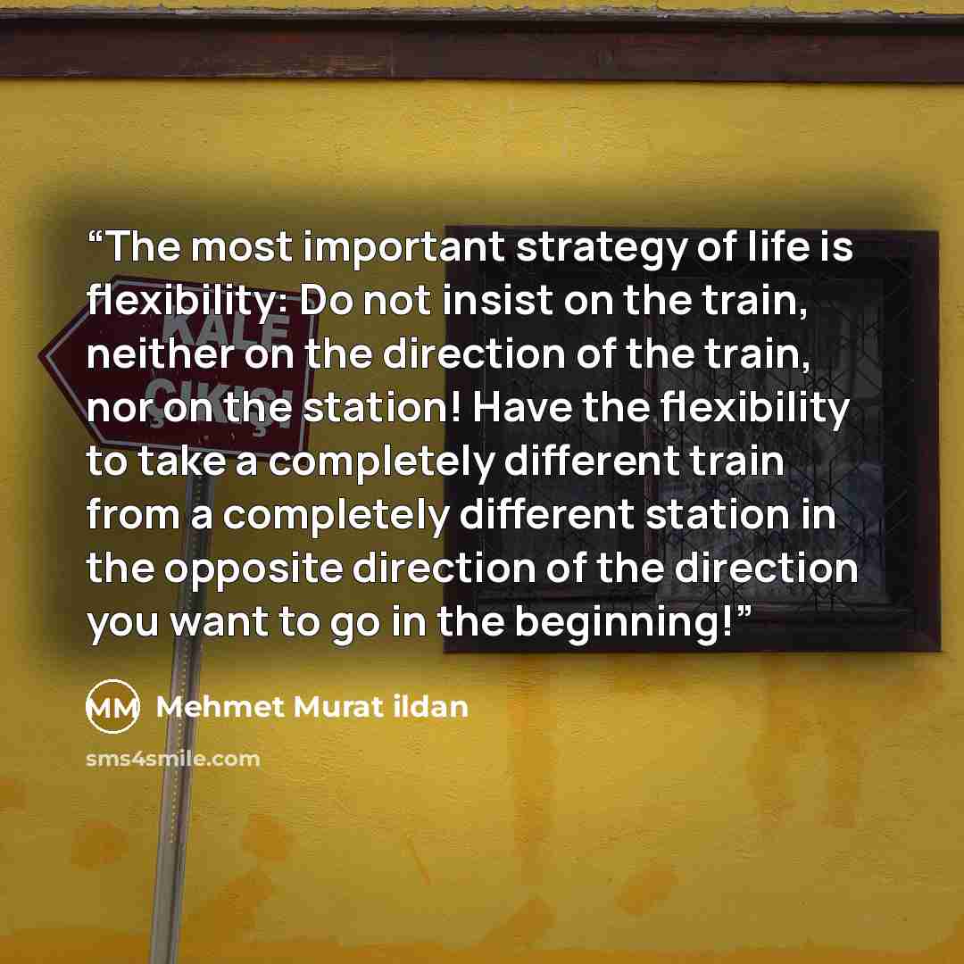“The most important strategy of life is flexibility: Do not insist on the train, neither on the direction of the train, nor on the station! Have the flexibility to take a completely different train from a completely different station in the opposite direction of the direction you want to go in the…” quote by Mehmet Murat ildan