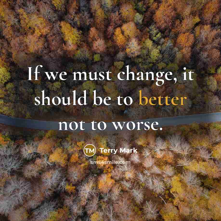 “If we must change, it should be to better not to worse.” quote by Terry Mark