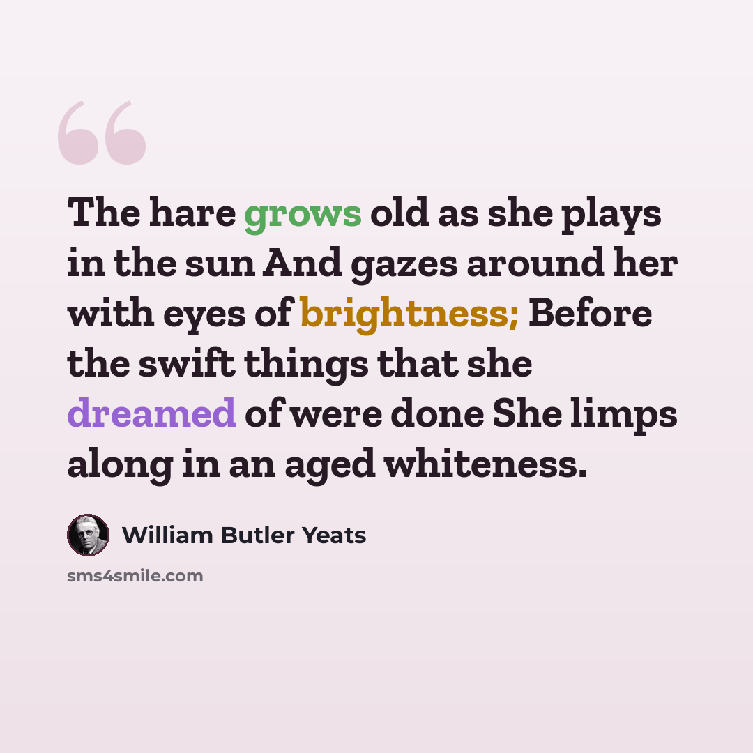 “The hare grows old as she plays in the sun And gazes around her with eyes of brightness; Before the swift things that she dreamed of were done She limps along in an aged whiteness.” quote by William Butler Yeats