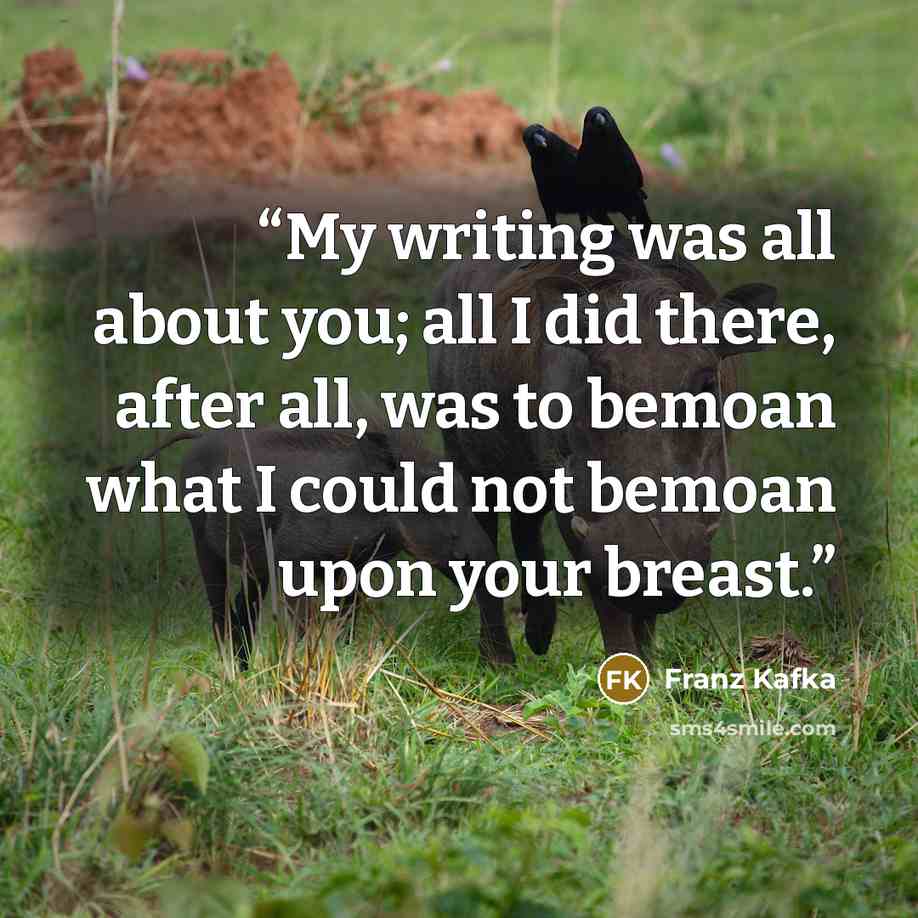 “My writing was all about you; all I did there, after all, was to bemoan what I could not bemoan upon your breast.” quote by Franz Kafka