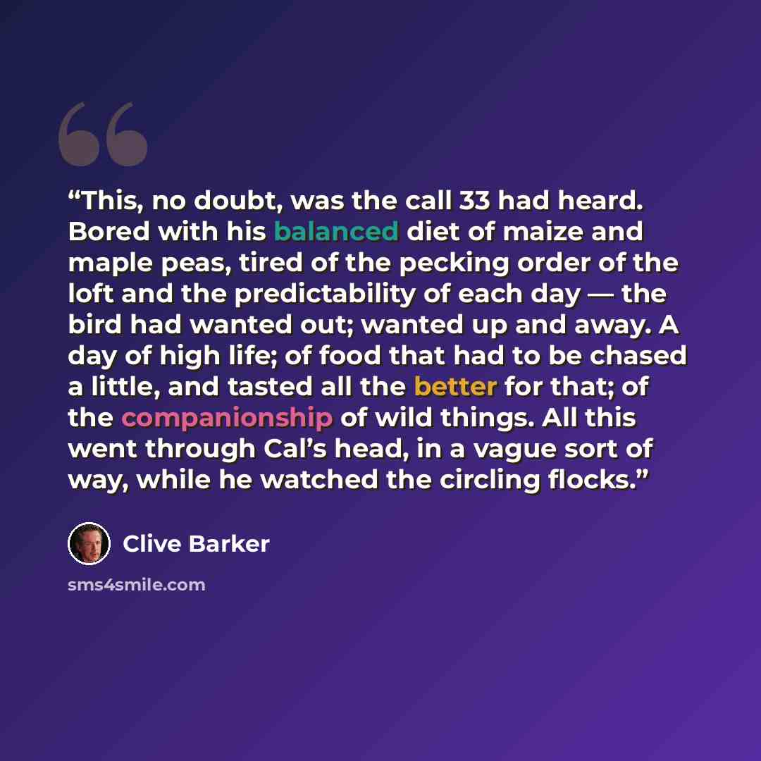 “This, no doubt, was the call 33 had heard. Bored with his balanced diet of maize and maple peas, tired of the pecking order of the loft and the predictability of each day — the bird had wanted out; wanted up and away. A day of high life; of food that had to be chased a little, and tasted all the…” quote by Clive Barker