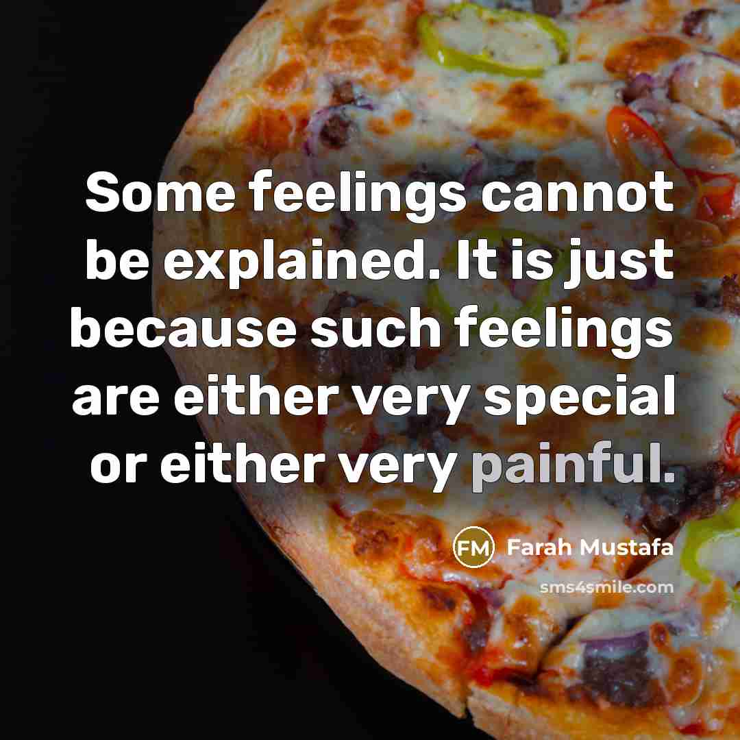 “Some feelings cannot be explained. It is just because such feelings are either very special or either very painful.” quote by Farah Mustafa