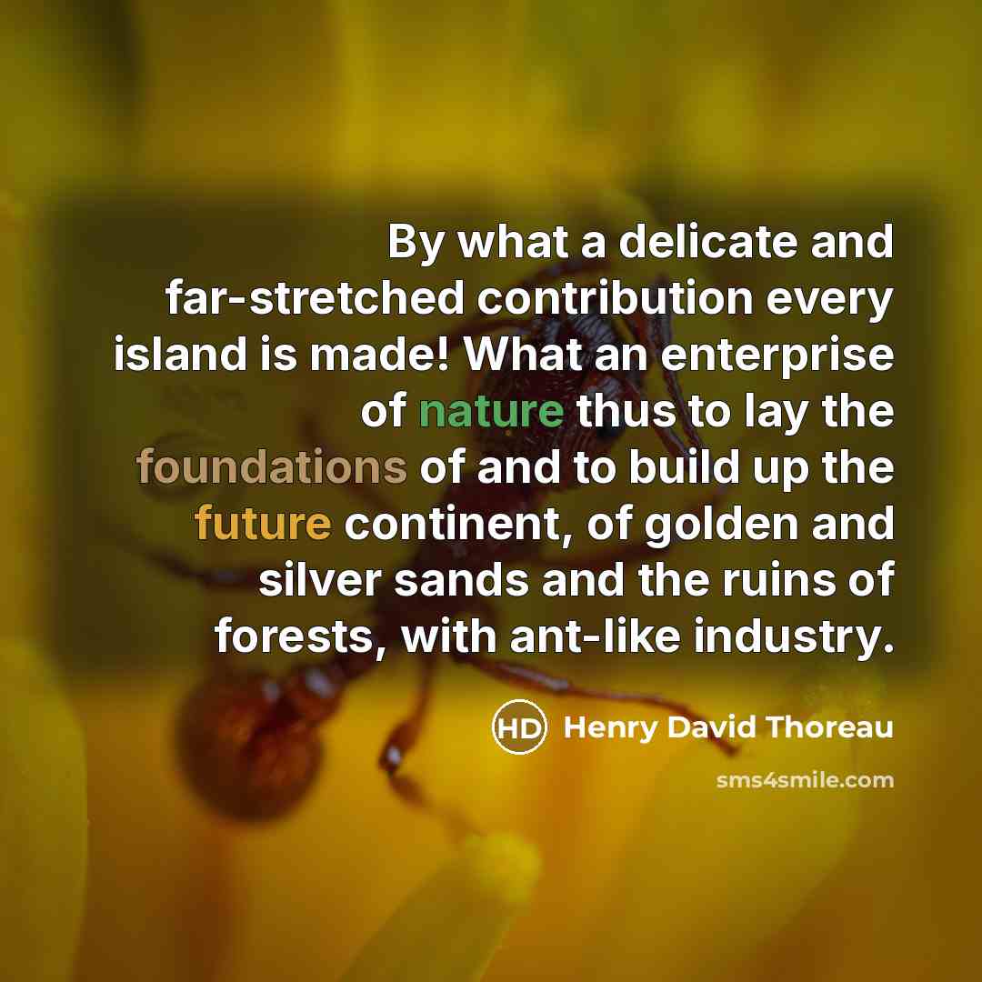 “By what a delicate and far-stretched contribution every island is made! What an enterprise of nature thus to lay the foundations of and to build up the future continent, of golden and silver sands and the ruins of forests, with ant-like industry.” quote by Henry David Thoreau