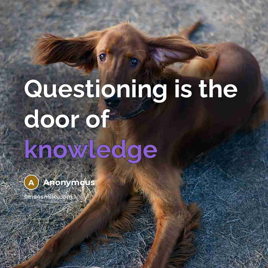 “Questioning is the door of knowledge” quote by Anonymous