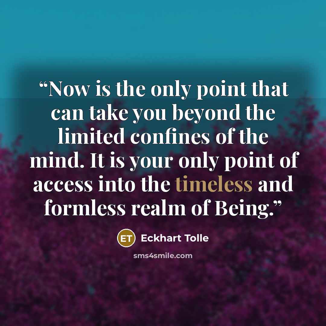 “Now is the only point that can take you beyond the limited confines of the mind. It is your only point of access into the timeless and formless realm of Being.” quote by Eckhart Tolle