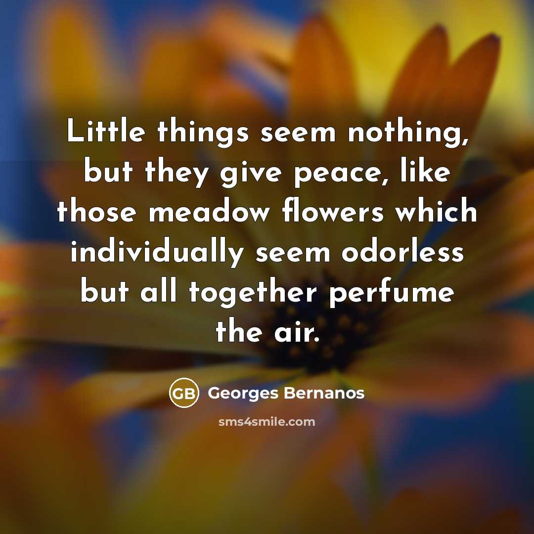 “Little things seem nothing, but they give peace, like those meadow flowers which individually seem odorless but all together perfume the air.” quote by Georges Bernanos
