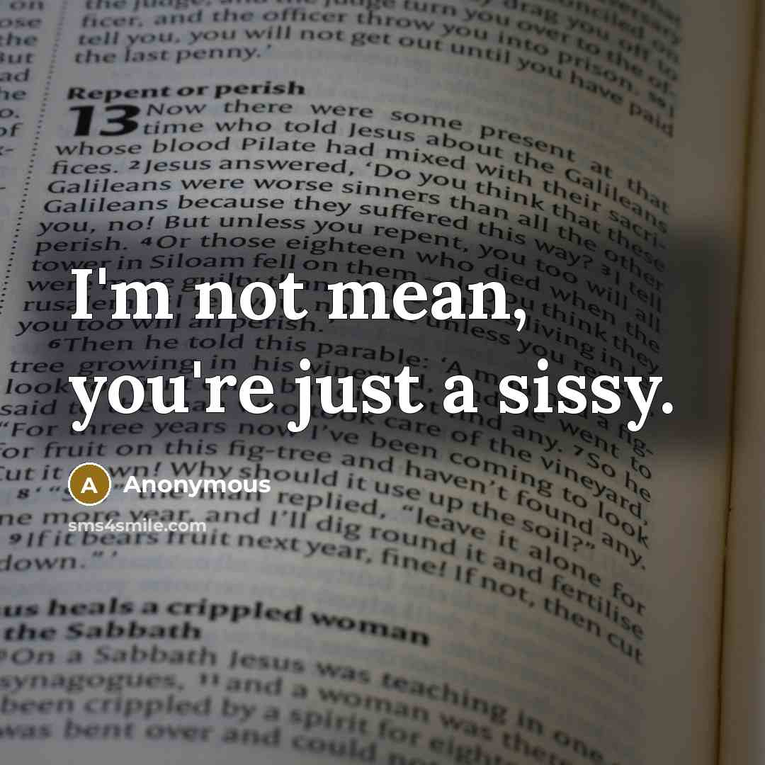 “I'm not mean, you're just a sissy.” quote by Anonymous