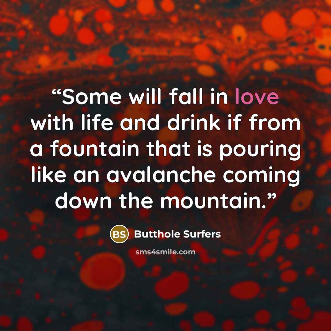 “Some will fall in love with life and drink if from a fountain that is pouring like an avalanche coming down the mountain.” quote by Butthole Surfers