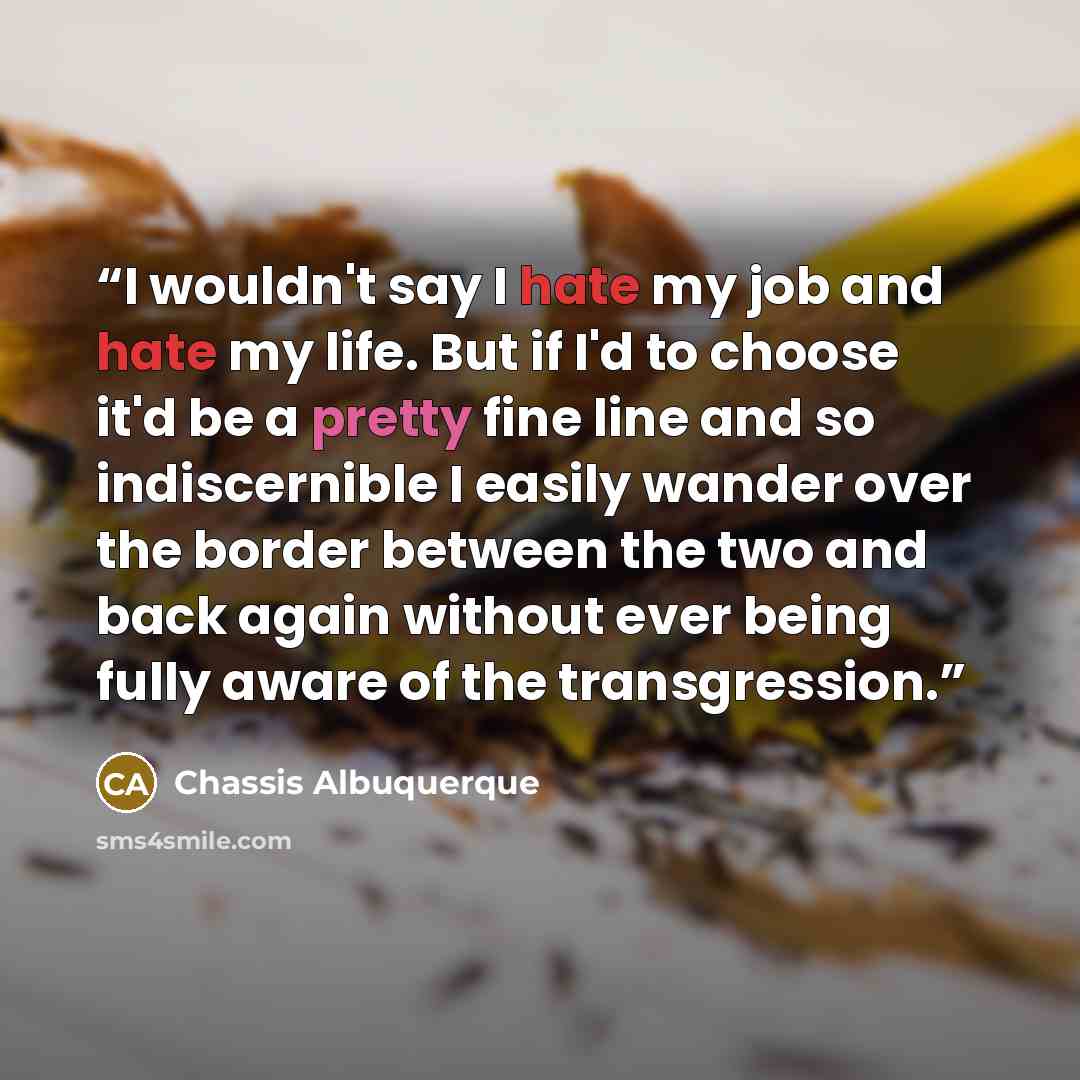 “I wouldn't say I hate my job and hate my life. But if I'd to choose it'd be a pretty fine line and so indiscernible I easily wander over the border between the two and back again without ever being fully aware of the transgression.” quote by Chassis Albuquerque