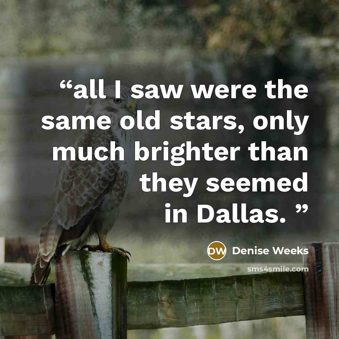 “all I saw were the same old stars, only much brighter than they seemed in Dallas.” quote by Denise Weeks