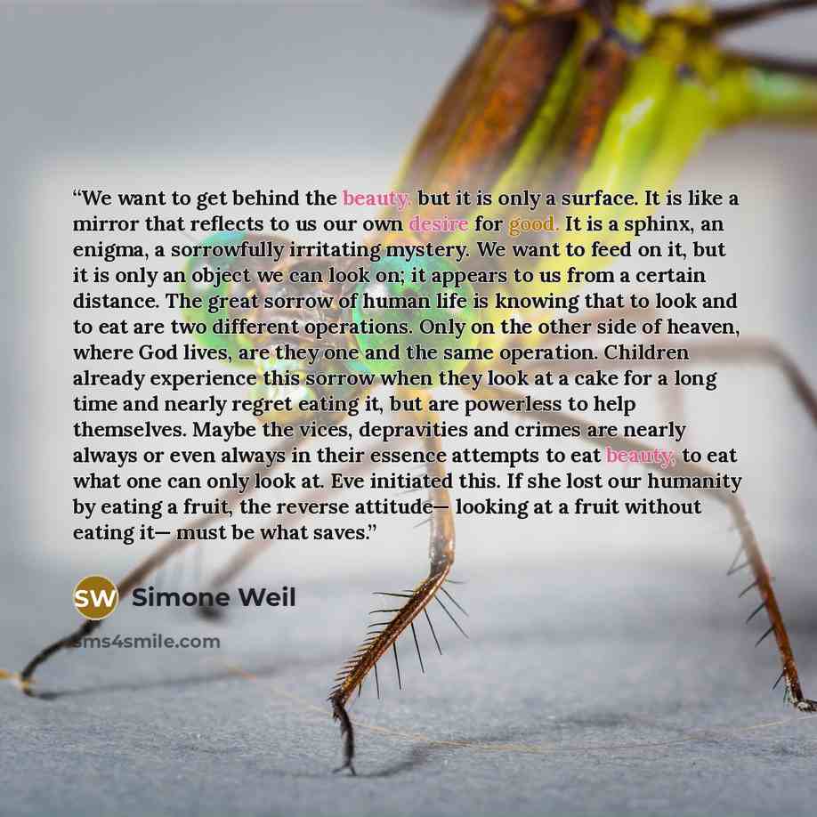 “We want to get behind the beauty, but it is only a surface. It is like a mirror that reflects to us our own desire for good. It is a sphinx, an enigma, a sorrowfully irritating mystery. We want to feed on it, but it is only an object we can look on; it appears to us from a certain distance. The…” quote by Simone Weil